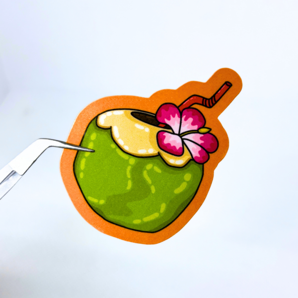 ACNH Coconut Drink - Image 5