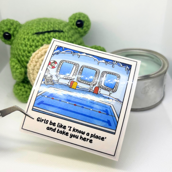 Club Penguin Pool - Image 5