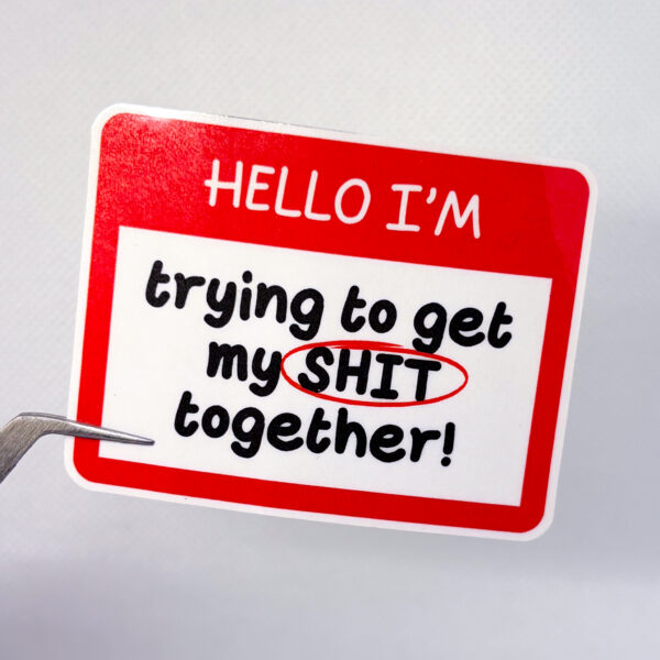 Hello I'm Trying To Get My Shit Together - Image 7